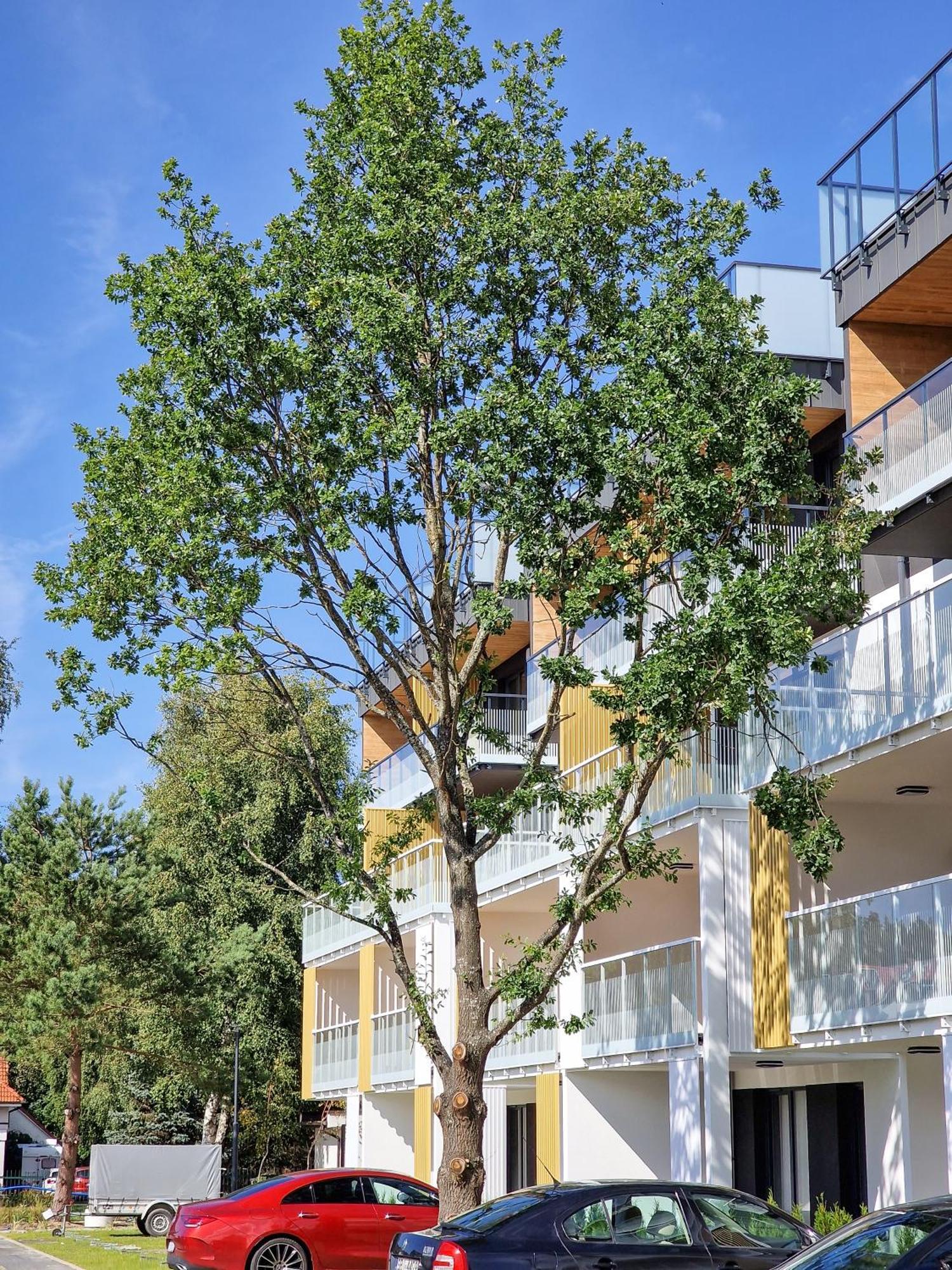 Posesja Plazowa Penthouse & Spa By Posesja Apartamenty Grzybowo  Bagian luar foto